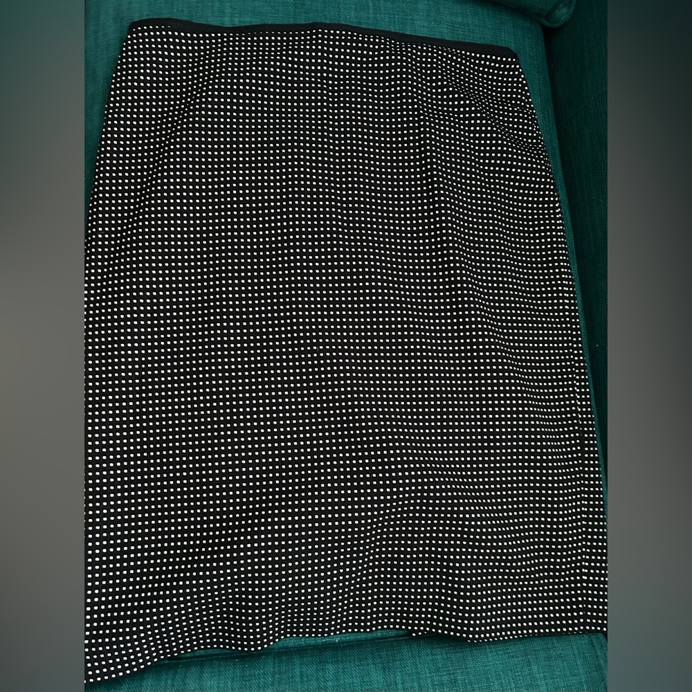 Black/white skirt